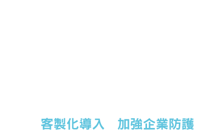 資安網通 全球整合在地清洗，客製化導入加強企業防護